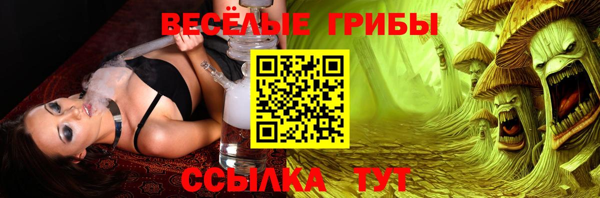 Псилоцибиновые грибы Cubensis  Вход с VPN  Новотроицк 