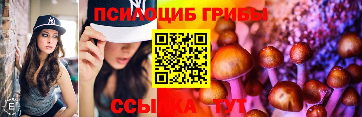 Галлюциногенные грибы MAGIC MUSHROOMS Новотроицк